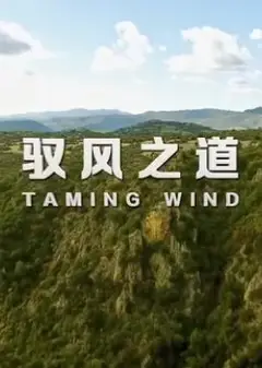 驭风之道
