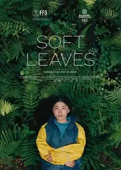 温柔的叶子