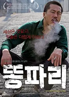 绿头苍蝇