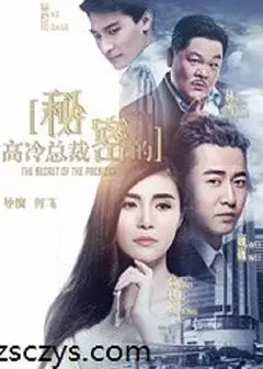 高冷总裁的秘密