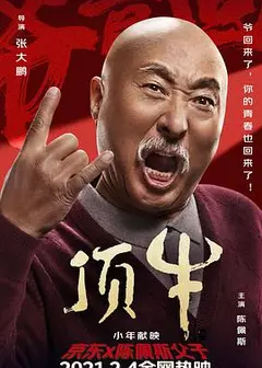 顶牛