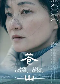 苍山