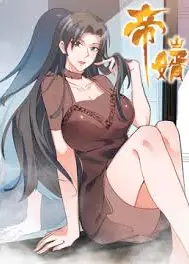 帝婿