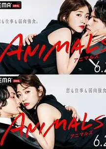 ANIMALS 归国篇