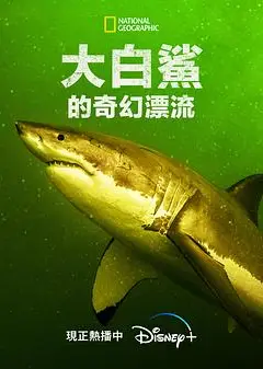 大白鲨的奇幻漂流