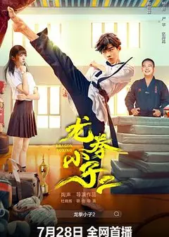 龙拳小子2