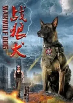 战狼犬