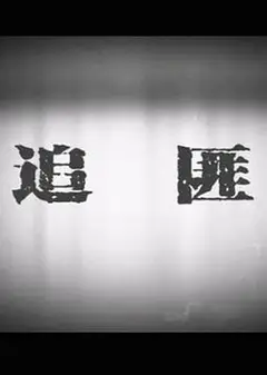 追匪
