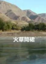 火草筒裙