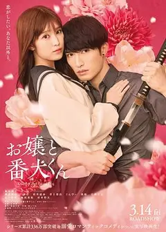 大小姐和看门犬(电影版)