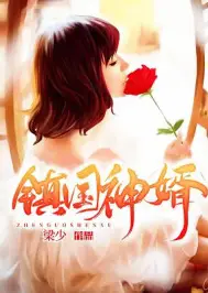 镇国神婿