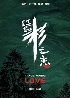 红豆杉之恋