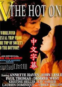 V娘的故事