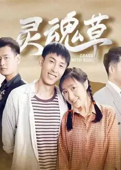 灵魂草