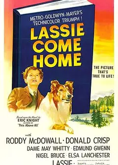 灵犬莱西1943