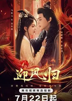 迎凤归