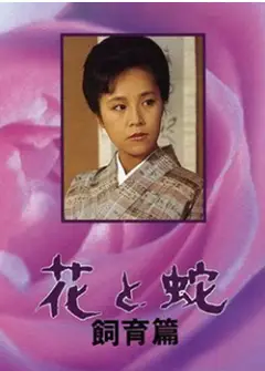 花与蛇 飼育篇