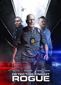 警探奈特：侠盗