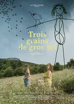 三粒粗盐