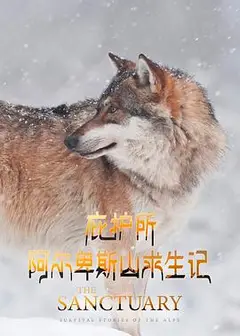 庇护所：阿尔卑斯山求生记