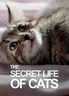 BBC地平线：猫的秘密生活