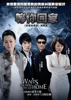 等你回家2013