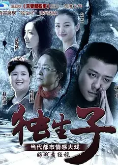 独生子 (2013)