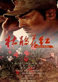 杜鹃花红