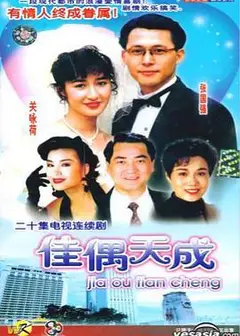 佳偶天成国语
