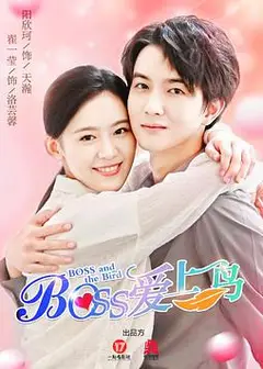 Boss爱上鸟
