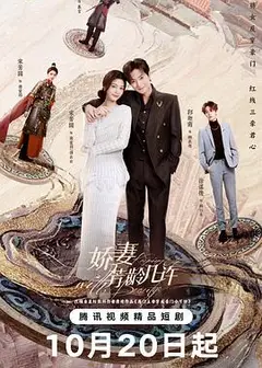 娇妻芳龄几许