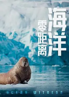 海洋零距离