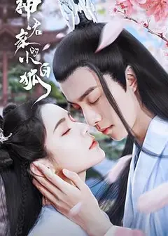 神君家的小白狐