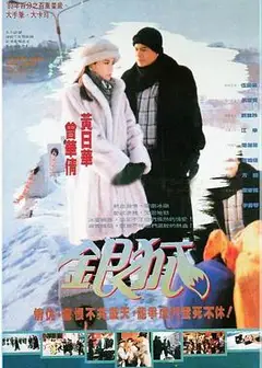 银狐粤语