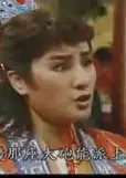 臭头洪武君