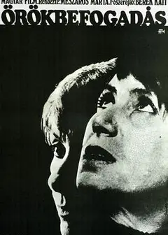 领养1975