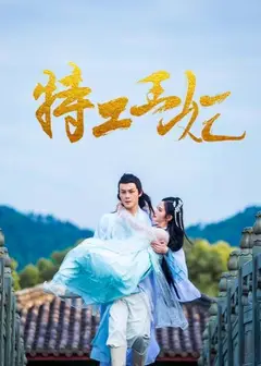特工王妃
