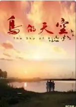 鸟的天空