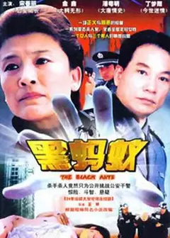 黑蚂蚁