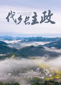 代乡长主政