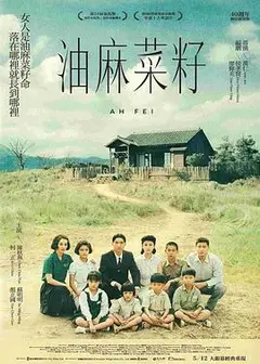 油麻菜籽