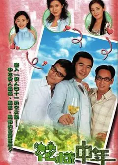 花样中年国语