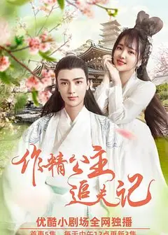 作精公主追夫记