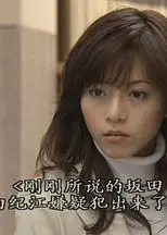 7个女律师