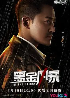 黑金风暴国语