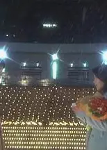 相亲结婚