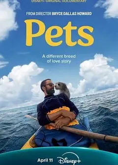宠 Pets