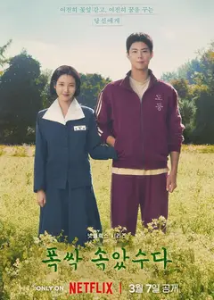苦尽柑来遇见你