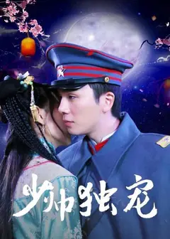 少帅独宠