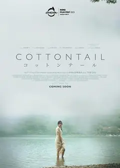 棉尾兔